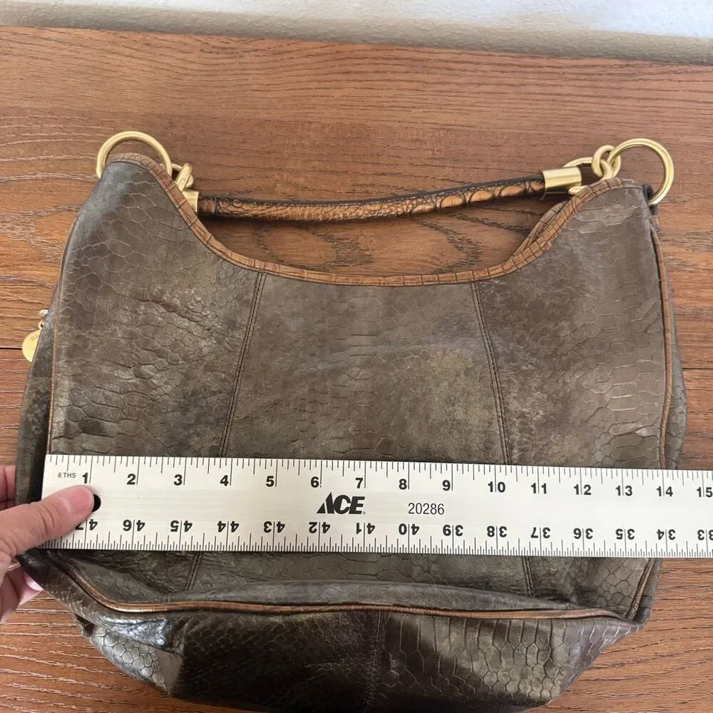 Brahmin new dust